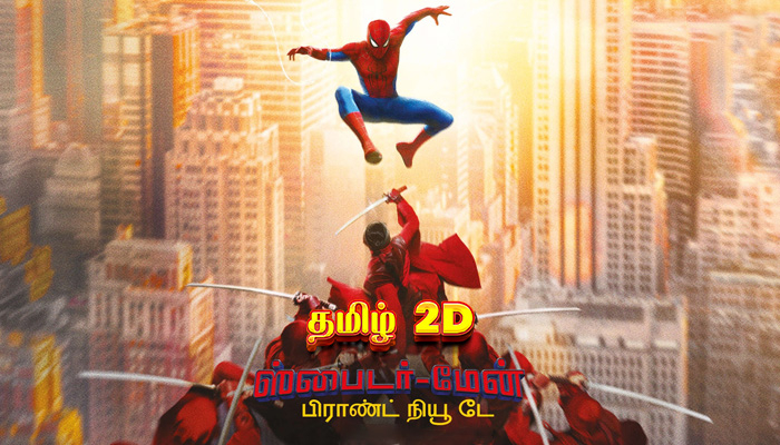 Spider Man 2D